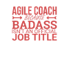 « Coach Agile Badass | Agile »