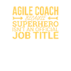 « Agile Coach Superhero | Agile »
