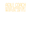 « Agile Coach Superhero | Agile »