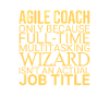 "Agile Coach Wizard | Agile"