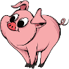 Playful Pig Cartoon Design