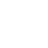 Bird flock flies