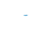 eisbader winterschwimmen evolution eiswasser