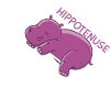 Hypotenuse Hippo Geometry