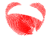 PARAGLIDER