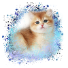 kätzchen,katze,katzenbaby,graffiti,malerei