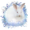 white rabbit,rabbit,graffiti,blue