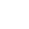 évolution bricoleur