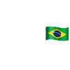 jiujitsu art martial