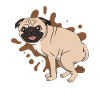 Pug poops piles of poop