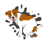 JACK RUSSELL TERRIER poops poop pile