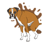 German boxer poops poop pile