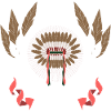 Native Indian Feathers