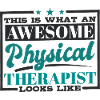 Physiotherapist Physiotherapy Therapist