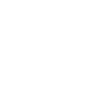 M. Y. Disco Volante