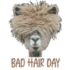 Bad Hair Day