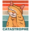 Cat Catastrophe Catastrophe Funny Saying