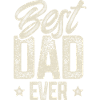 Dad Father Father's Day Best Dad