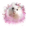 zwerghamster,hamster,weiss,graffiti,malerei