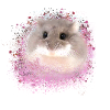zwerghamster,hamster,pink,graffiti,malerei