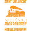 Modellbau Eisenbahn Modellbahner