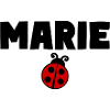 MARIE Ladybug