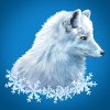 Poster Arctic Fox