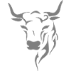 Bull's head