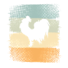 Rooster