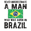 Brésil Brésil Drapeau brésilien