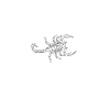 Skorpion