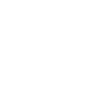 Petit Basset Griffon Vendeen