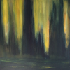 Northern lights