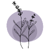 Lavender black purple