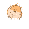cute hamster rodent pet