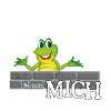 Frosch König textile Geschenkidee