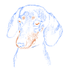 Teckel