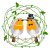 Robin Bird Wedding