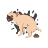 FRENCHIE poops piles of poop