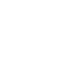 Portrait de poney blanc