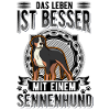 Großer Schweizer Sennenhund