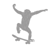 Skateboard singe