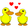 Ducks Valentine's Day