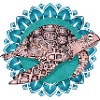 fascinating mandala with sea turtle