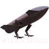 Starship Bird Funart