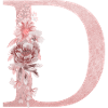 Point D