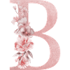 Letter B