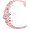 Letter C