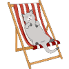 Lazy cat in beach chair