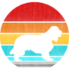 cocker spaniel